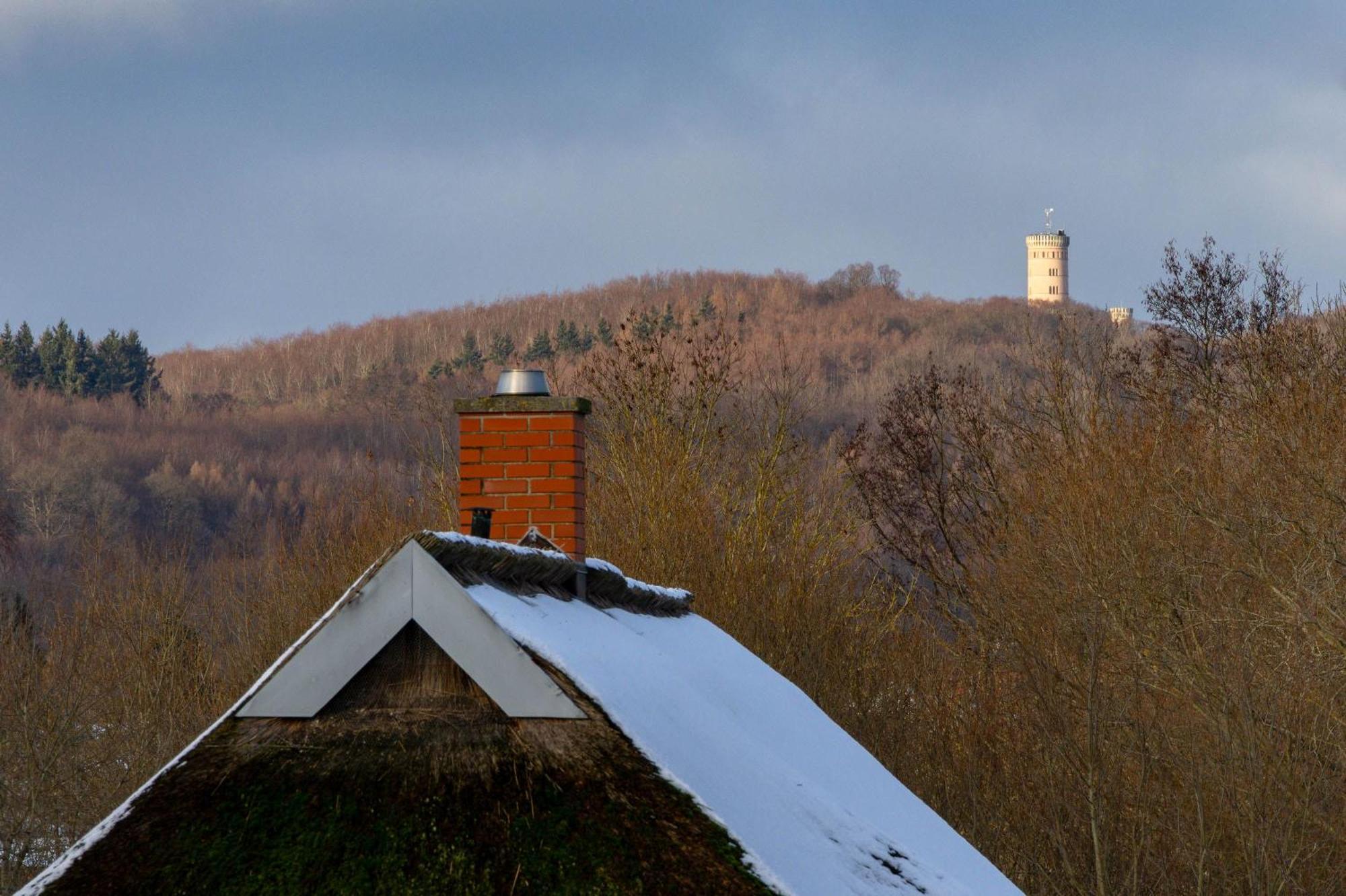 Ferienhaus Preetz 1A - Idylle Unter Reet Burtevitz Exteriör bild