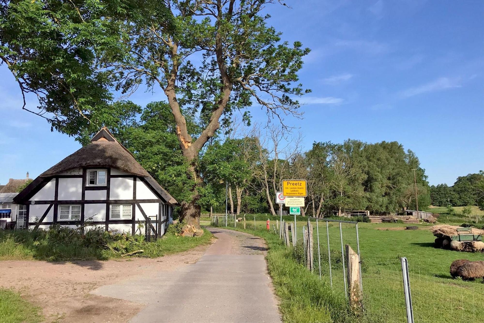 Ferienhaus Preetz 1A - Idylle Unter Reet Burtevitz Exteriör bild